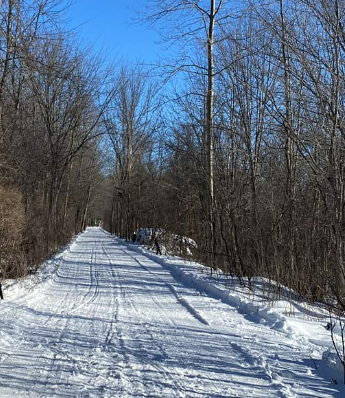 Cataraqui_Trail_by_Dave_Bland.jpeg