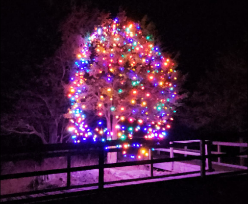 Christmas_Tree_on_Foley_Mountain_by_Lee_Traynor_Westport_Ontario_Facebook_Page.jpeg