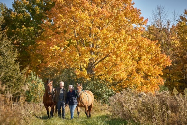 Deltawood Farm by Louise Whitty