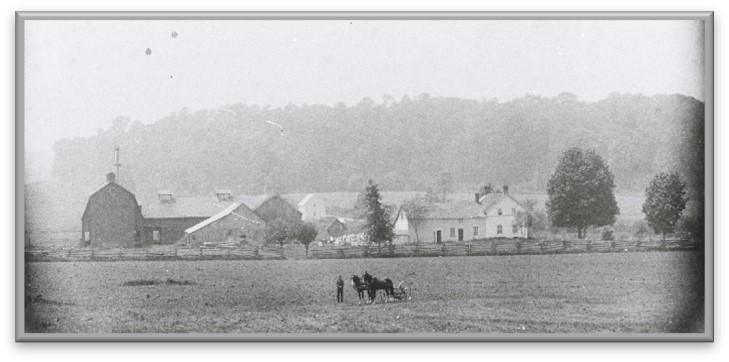 Plum Hollow Pattemore Dairy Farm