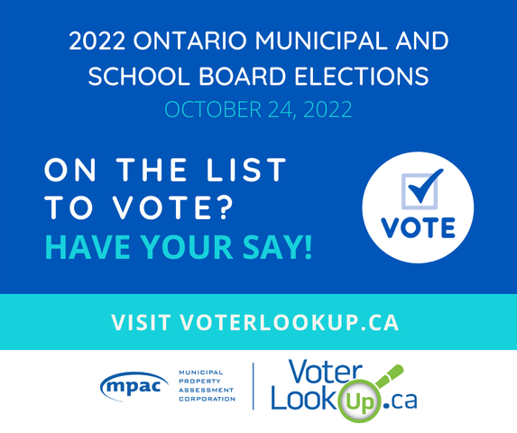 VoterLooku graphic