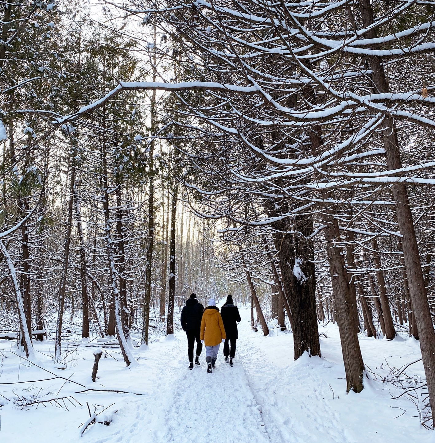 Winter Hike Foley Mountain Conservation Area Facebook Page