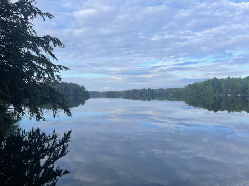 Lower Beverley Early a.m. May 2024.JPG