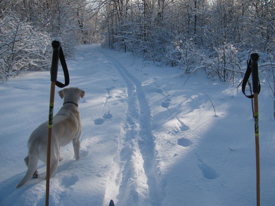 24 Tanis Cowan Feb Cross Country Ski Trail