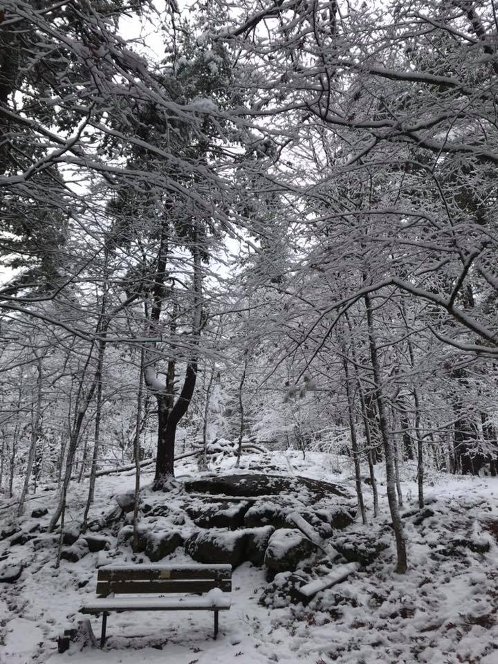 Foley Mountain Bench in Winter Foley Mountain Facebook Page