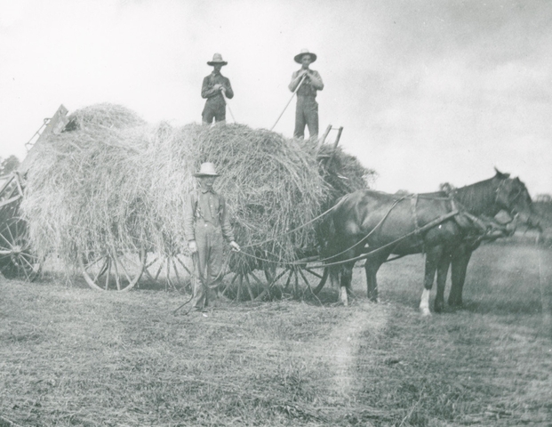 Haying at Earl farm Elgin 1925