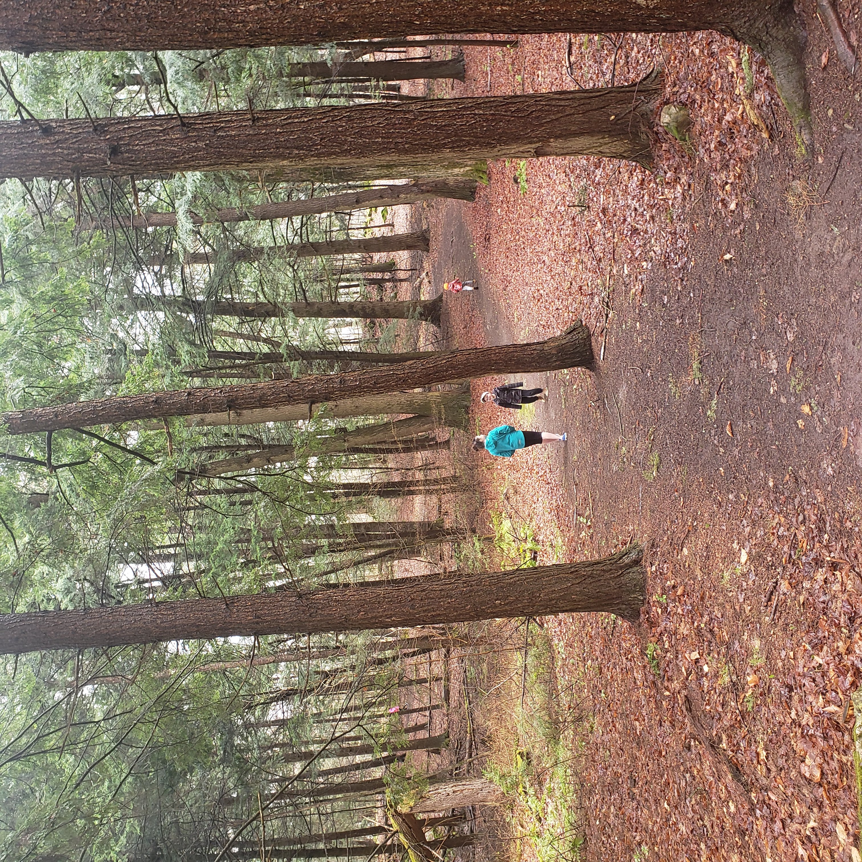 Lower Beverley Park Trail Rosanne Lake