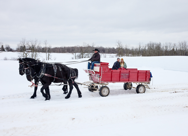 Rideau Township SleighRides ML813