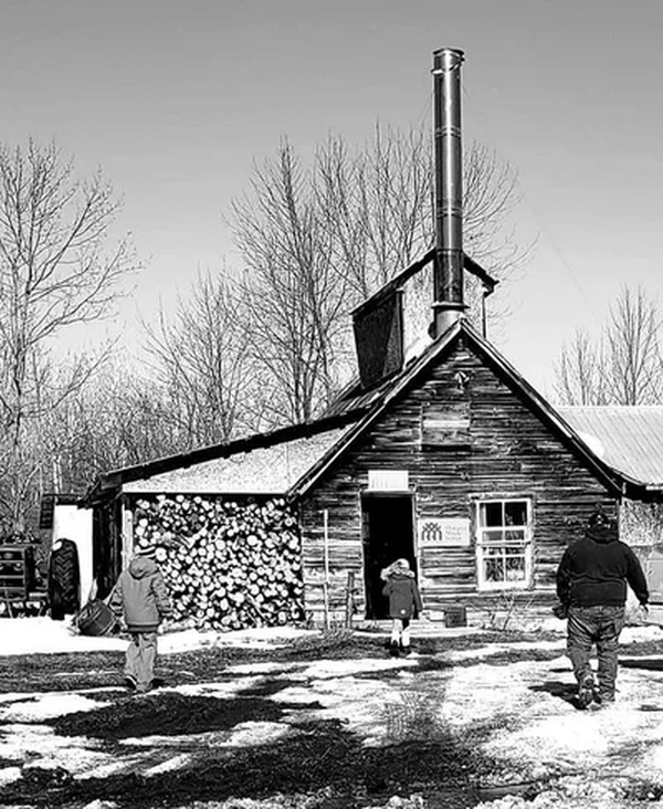 Walker Family Farm Facebook Page