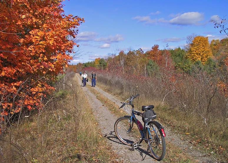 cataraqui trail fall