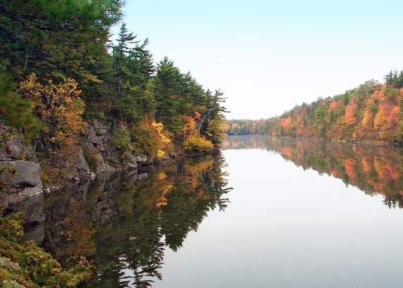 morton bay fall colours