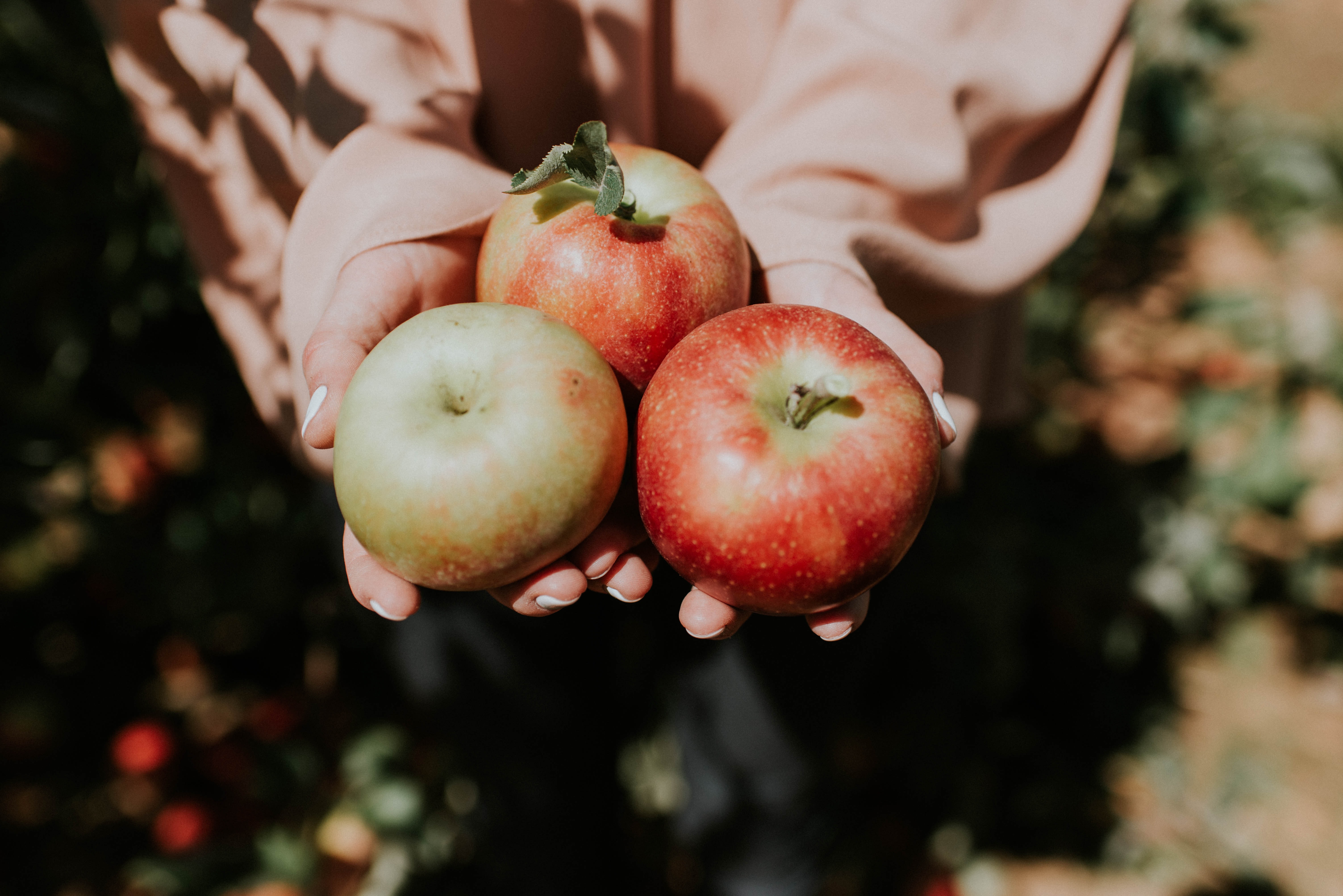 natalie grainger DapP9j2DJMQ unsplash