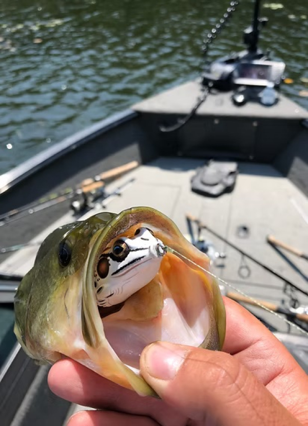 Guided Fishing with Fin Freaks