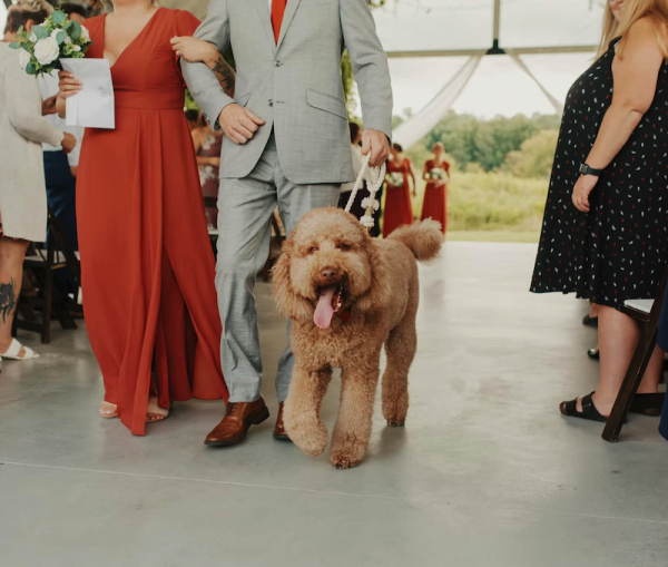 Pups at the Altar