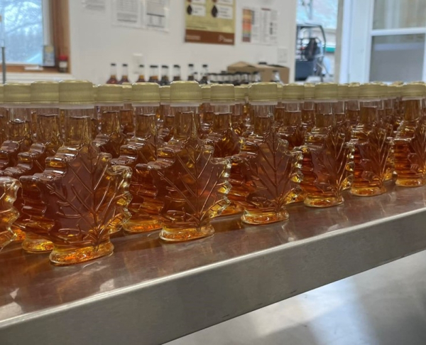Golden Moment Farm Maple