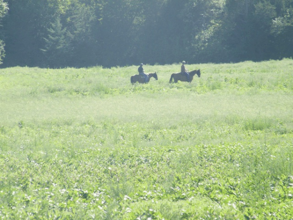 Horseback Riding at Deltawood Farm