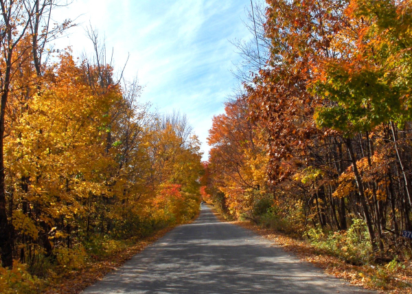 Fall Colour Backroad Drives