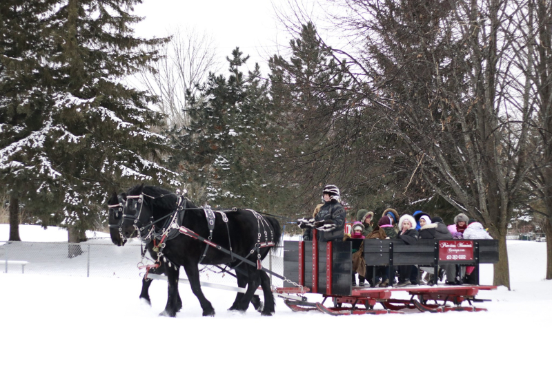 Photo: Precious Moments Carriages