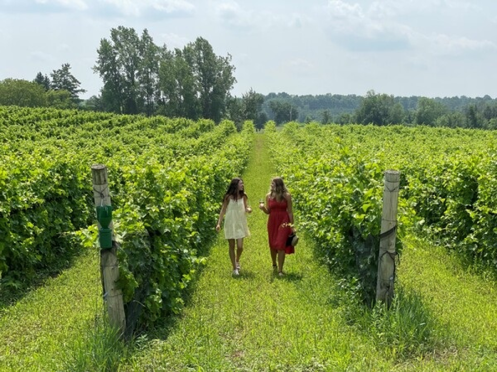 Scheuermann Vineyard and Winery