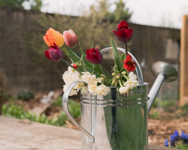 flowers
