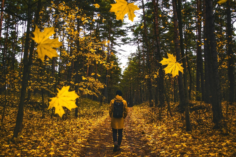 Cataraqui Trail by Ken Watson 