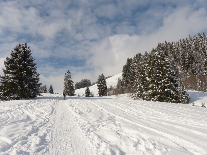 Happiness in Snowshoes: Wooded Loops in Rideau Lakes