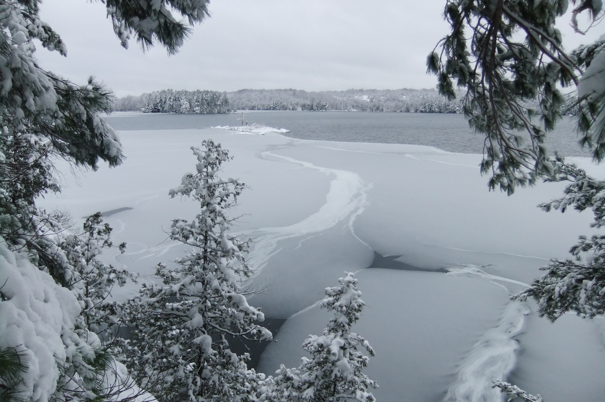 Embrace Winter: Cross Country Skiing in Rideau Lakes